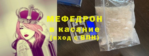 хмурый Аркадак