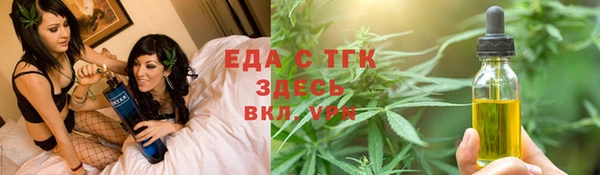 хмурый Аркадак