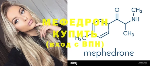 хмурый Аркадак