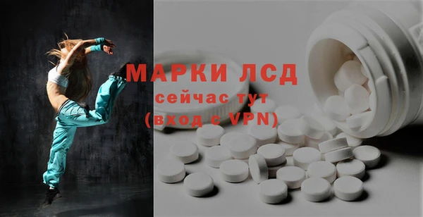 хмурый Аркадак