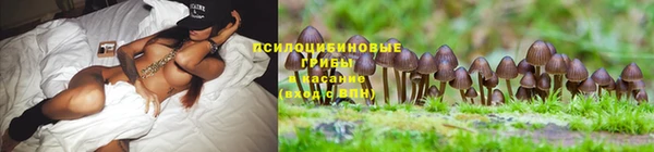 гашиш Балабаново