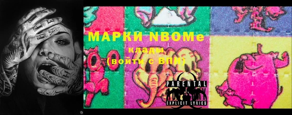 хмурый Аркадак