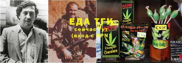хмурый Аркадак
