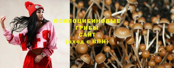 мдпв Арсеньев